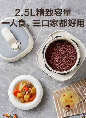 SUPOR苏泊尔白陶晶内胆2.5L