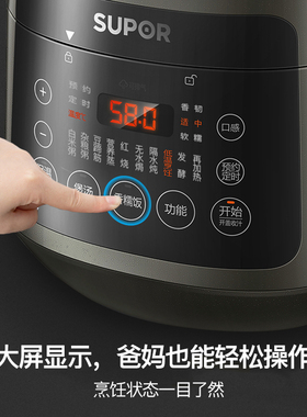 球釜智能预约小型全自动电压力锅