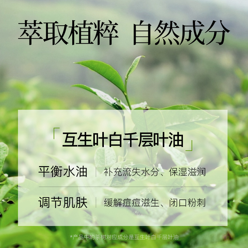 冰菊茶树净颜祛痘面膜学生青春痘去粉刺油性混合性控油收缩毛孔