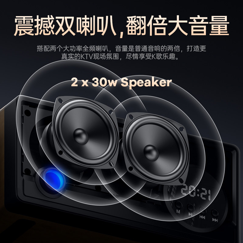  蔡琴KTV/卡拉OK音箱