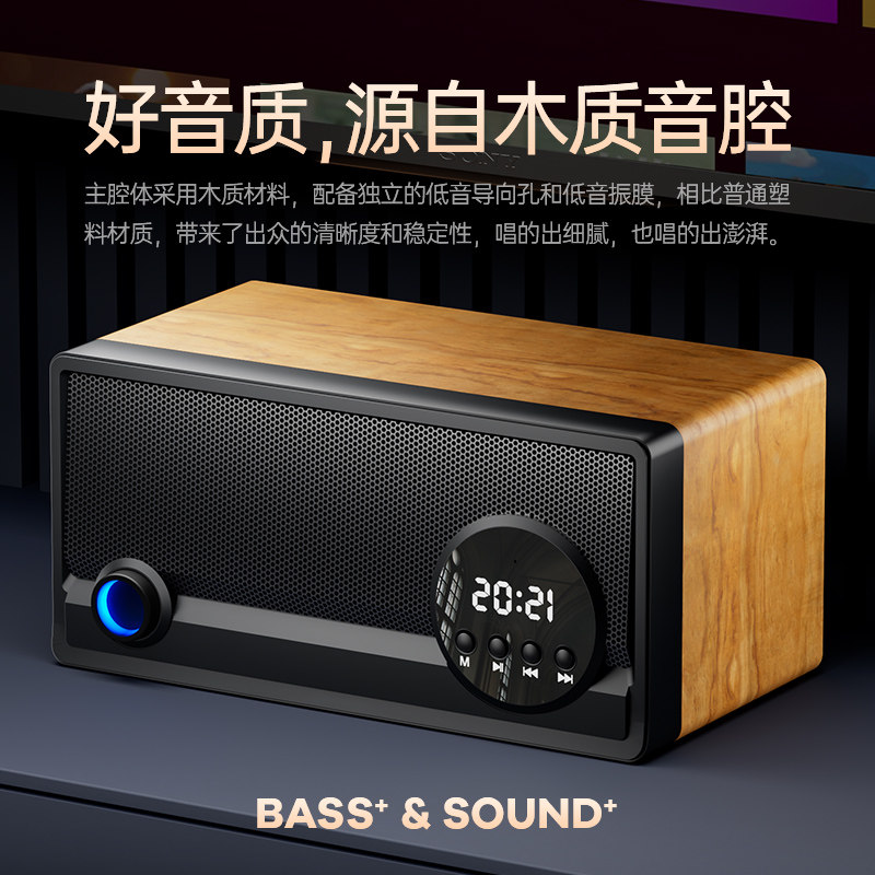  蔡琴KTV/卡拉OK音箱