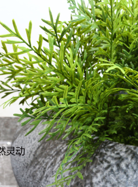 仿真绿植蕨类鹿角蕨蕨草塑料造景波斯叶假蕨类装饰肾蕨软胶手感