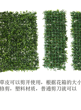 加密草皮墙面植物草坪