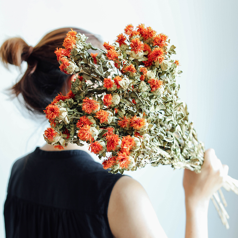 ins北欧天然橙菠萝干花花束真花搭配橱窗客厅装饰家居摆件红花果 - 图2