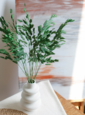 绿色小盼草干花花束房间装饰干花