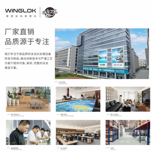 WINGLOK泳池盐氯机游泳池消毒设备自动消毒杀菌器盐机消毒设备 - 图0