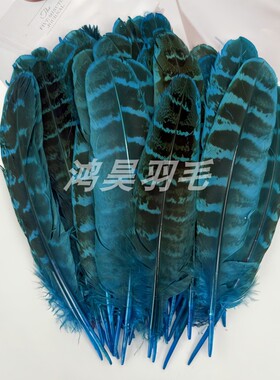 DIY配件散装羽毛 饰品配件条纹羽毛母鸡窝翎 头饰服装表演羽毛