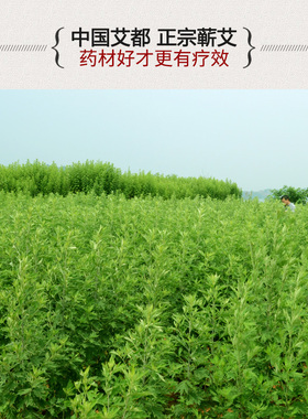 蕲艾叶艾草足浴包泡脚泡澡包三年陈野生家用男女士艾叶草粉艾绒