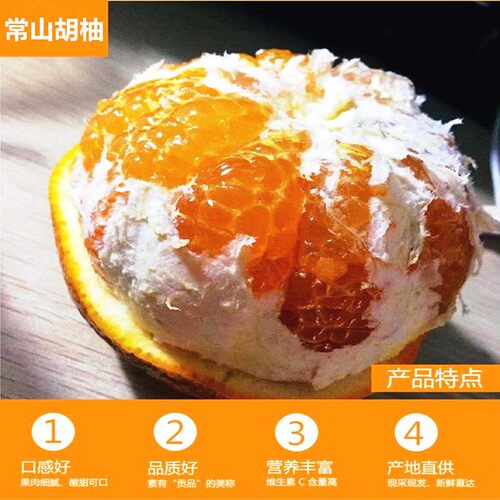 常山胡柚树苗胡柚苗嫁接柚子树苗蜜柚苗柚子苗南北方种植当年结果 - 图0