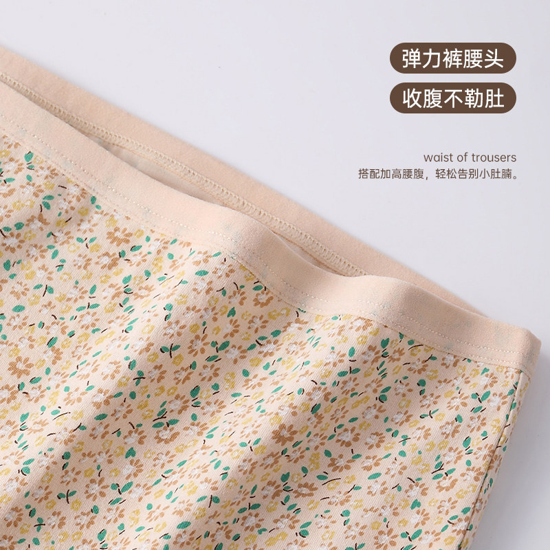 南极人妈妈内裤女士纯棉抗菌中老年人高腰收腹加肥大码三角短裤头,淘宝优惠券,粉丝福利购,淘宝优惠卷