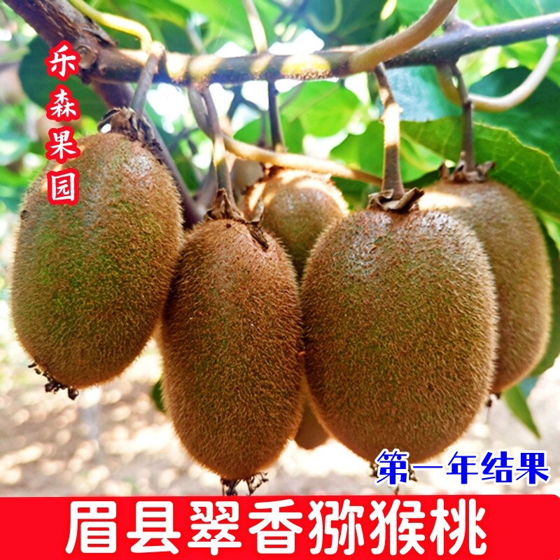 图 3
