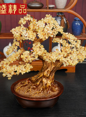 天然招财摇钱树发财树开业摆件