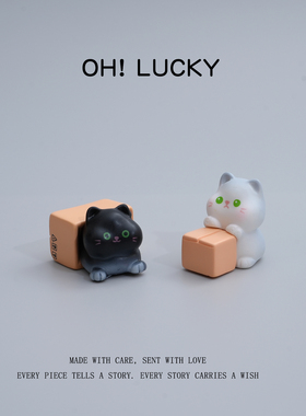 盒子猫咪可爱摆件电脑桌面中控