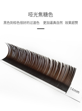 巧克力柔软扁毛芭比单根