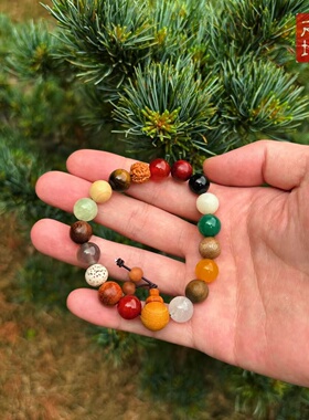 过香杭州十八籽手串多宝菩提子木质文玩寺庙同款招财18子佛珠转运