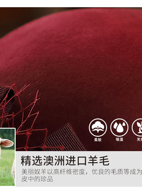 韩版英伦圆顶水貂毛花朵卷边帽子