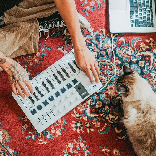 Arturia MINILAB3 KeyLab 25 49 61 MK3编曲MIDI键盘打击垫控制器 - 图0