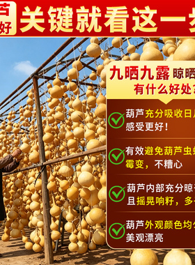 开口天然葫芦挂件摆件