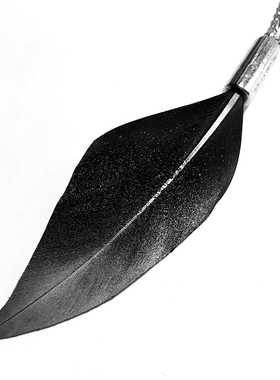 简约欧美项链黑鸟羽毛男