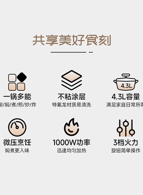欧锐铂帕斯卡电微压锅ORB-1573双耳带可推拉双锁