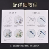 六品堂 Гонгби живопись бай драфт