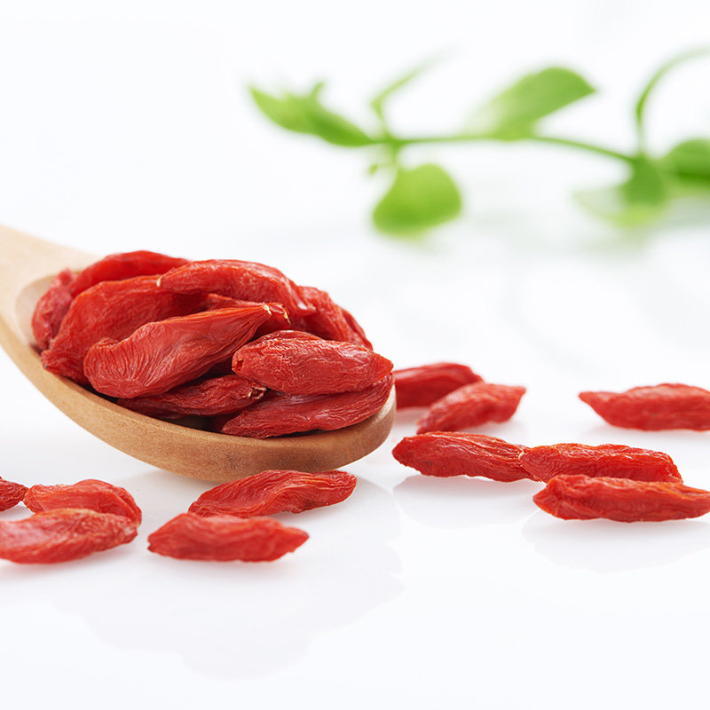 早康宁夏中宁特级500g正宗干枸杞子 早康食品枸杞