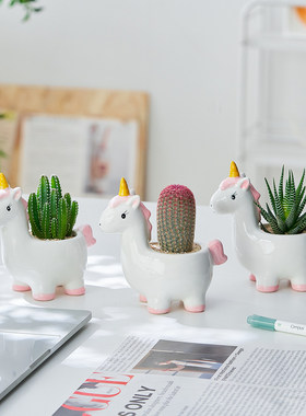 创意马年多肉桌面盆栽好养摆件