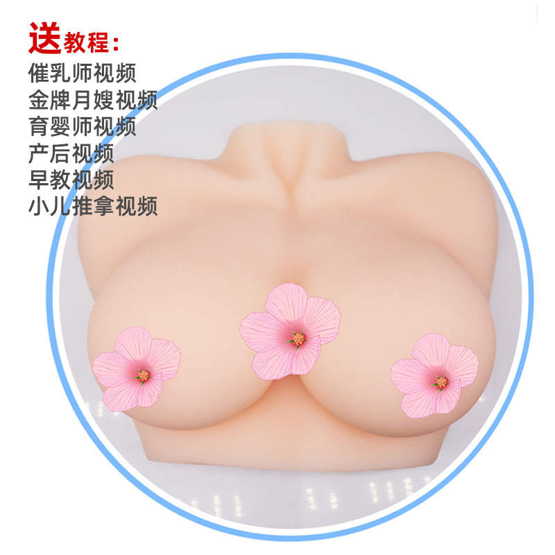 催乳师教具女性硅胶乳房模型家政月嫂培训医学用假乳房软技校医院 - 图1