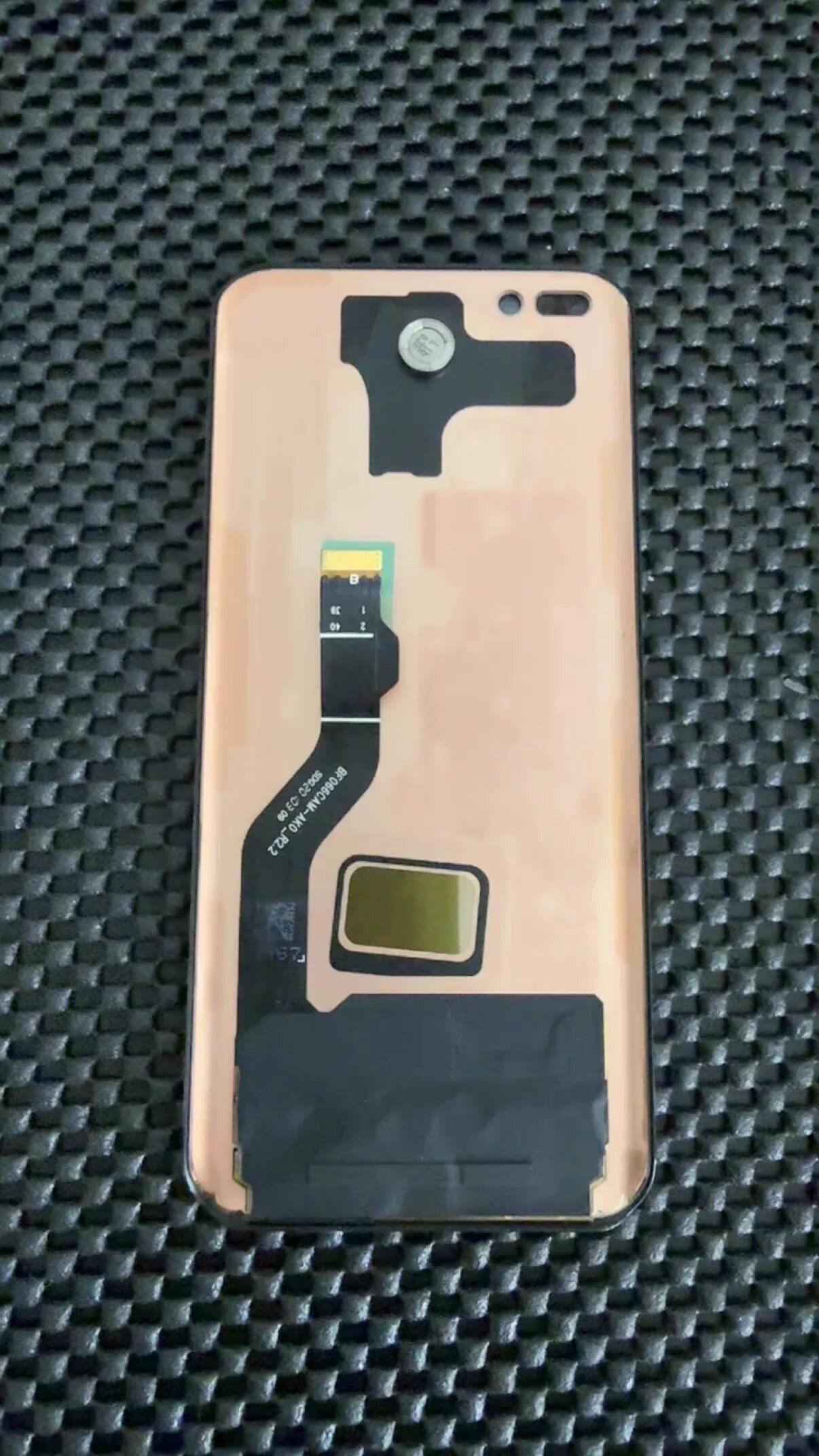 图5