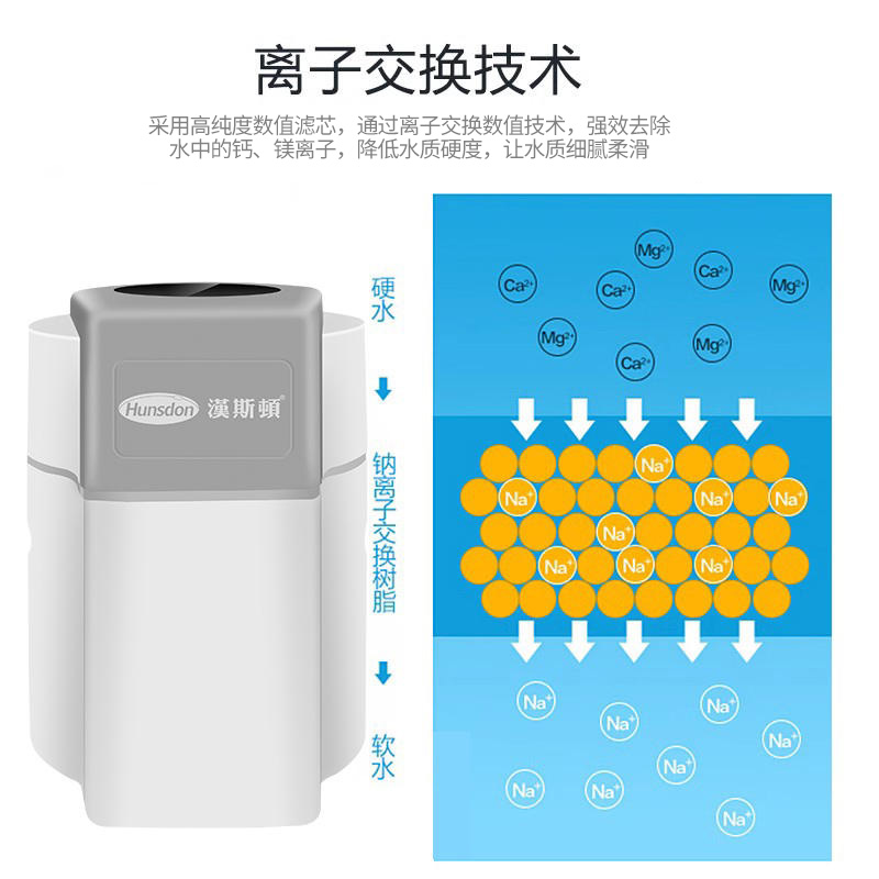 汉斯顿净水器家用全屋净水系统全自动中央软水机除水垢S1000/2000 - 图1