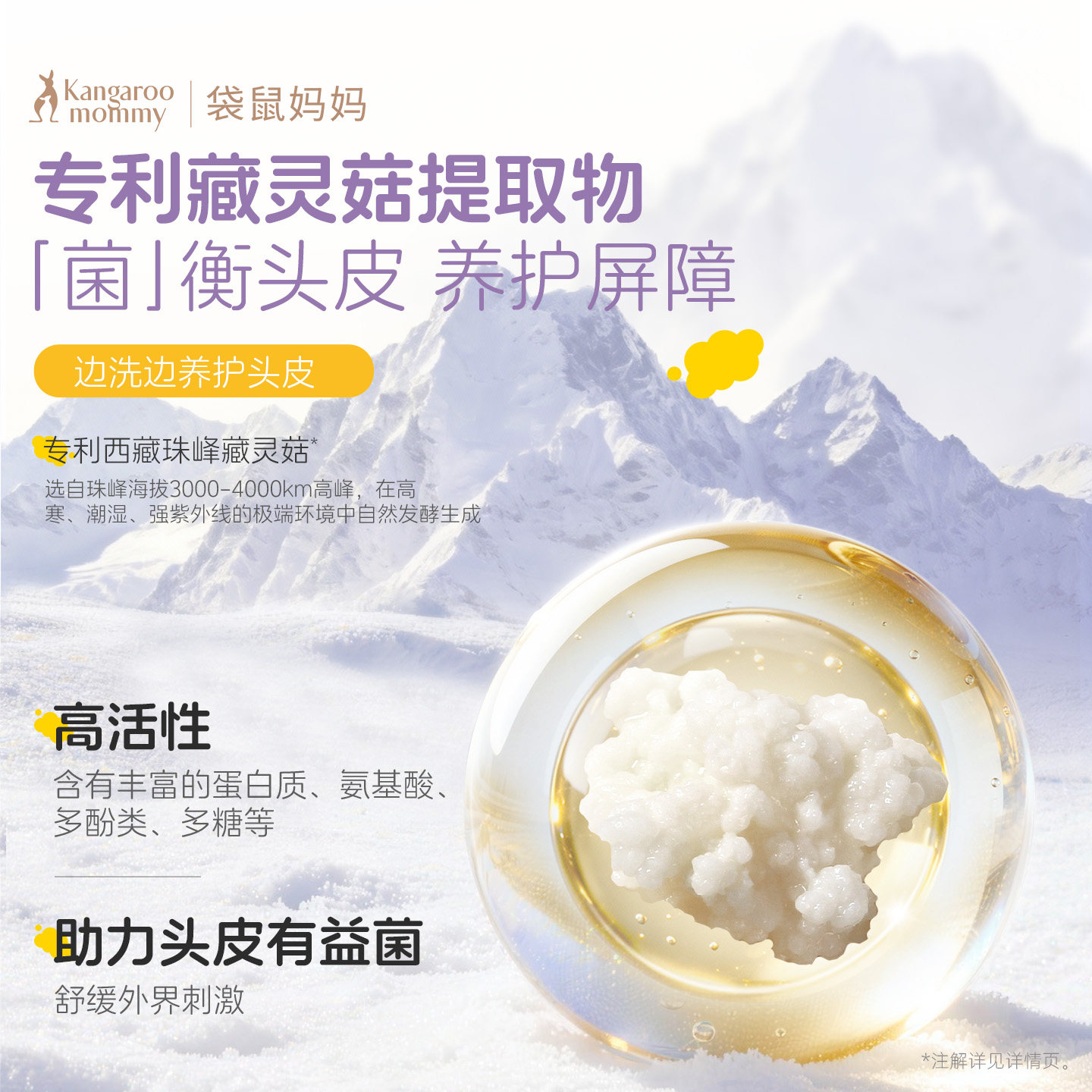 袋鼠妈妈儿童洗发水氨基酸宝宝婴儿柔顺清洁专用蓬松护发官方正品