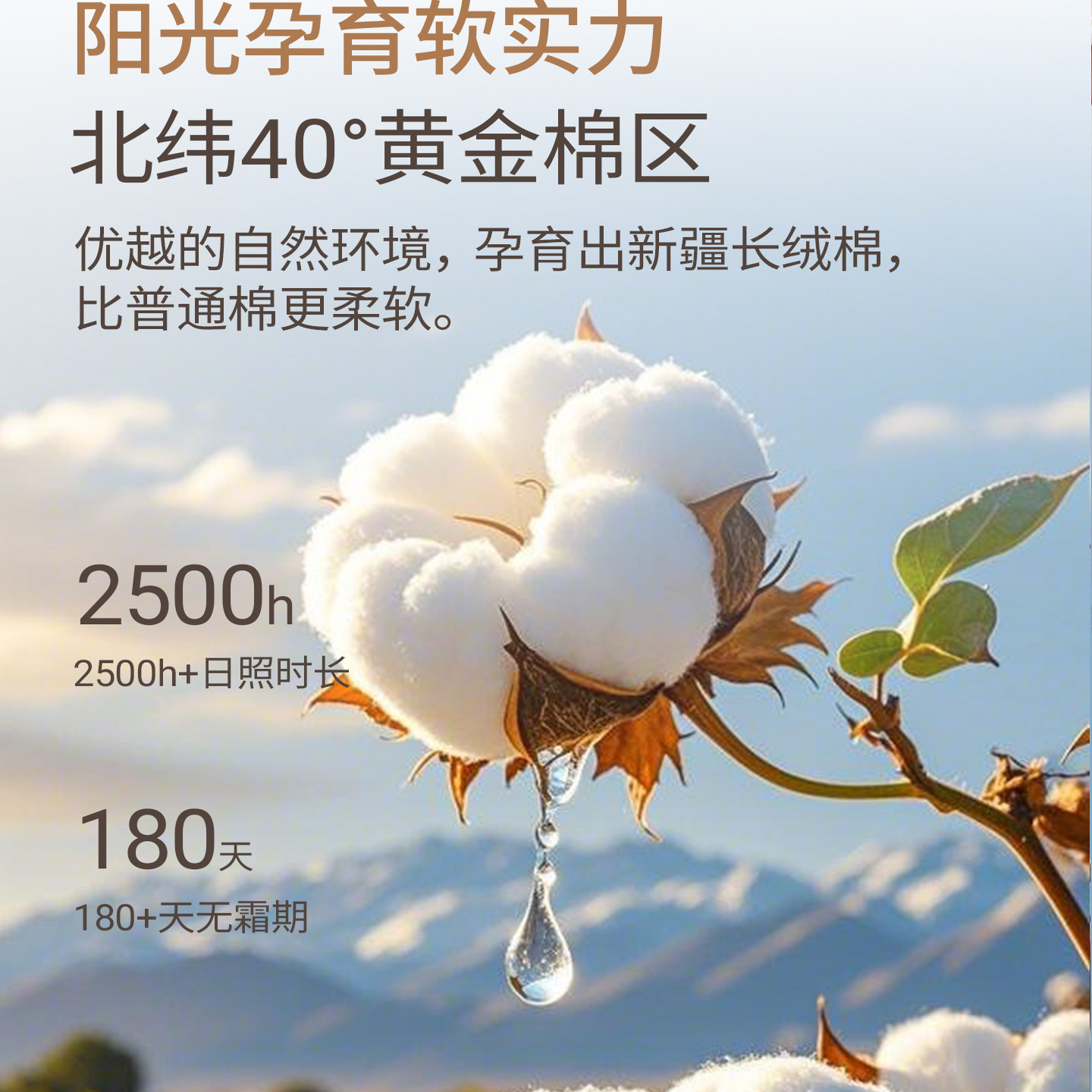 新疆一级长绒棉被芯棉花被子棉絮冬被全棉纯棉冬季加厚冬天单双人,淘宝优惠券,粉丝福利购,淘宝优惠卷