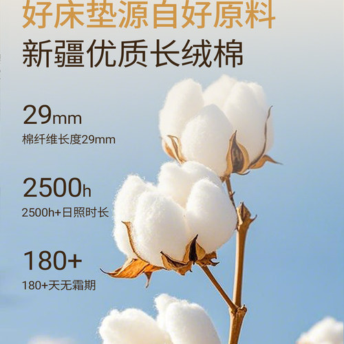 新疆长绒棉被纯棉花被子棉絮被芯冬被水洗棉冬季加厚保暖单人冬天 - 图0