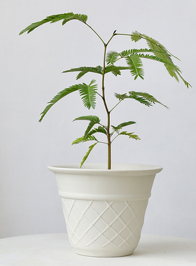 甜筒冰激凌创意陶盆透气桌面绿植盆栽大口径陶瓷白色有孔华夫格