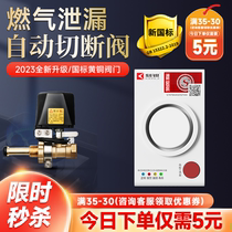 Gas leakage alarm automatically cut off valve gas natural liquefied gas alarm detection kitchen commercial home