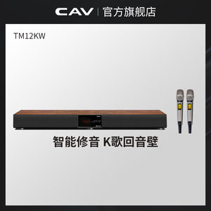 CAV 家庭卡拉ok音响客厅k歌音箱电视回音壁无线蓝牙投影仪音响