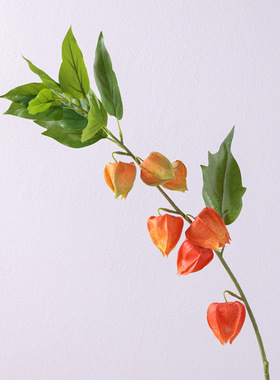 仿真花北欧 灯笼花 家居客厅酒店软装饰工程婚庆摆件插花布景