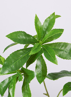 真马醉木造树花家居装饰假树旅人蕉摆件盆栽客厅摆件植物盆景