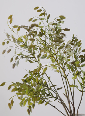 仿真叶长枝燕麦草假绿植商场装饰造景摆件拍摄道具家居样板间