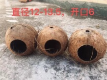 Natural Coconut Shell Creative Bird Cage Bird Nest Warm Breeding Supplies Decoration (200 hair ups) Next Order to Pay