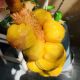 Hainan Sanya durian honey whole fresh soft glutinous tropical fruit wet package freshly picked freshly grown specialty SF Express