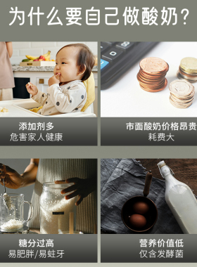 小熊希腊全自动甜酒酿宝宝酸奶机