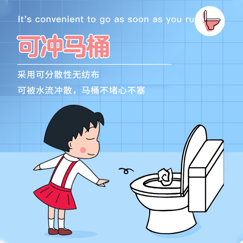 【蜜蜂欢乐社】妇炎洁湿厕纸家庭实惠装湿巾厕所擦屁屁湿纸巾_洗护清洁剂_卫生巾_纸_香薰