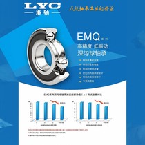 Luoyang bearings 6206 6205 6204E-2RZ (EMQ) P5 grade Z3V3 ultra silent high-speed motor bearings