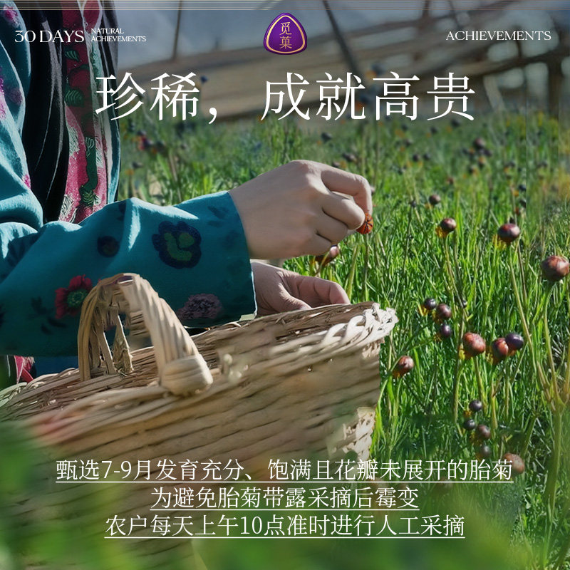 [新品]觅菓新疆昆仑雪山胎菊AA+188g菊花茶养生茶富黄酮礼品,淘宝优惠券,粉丝福利购,淘宝优惠卷