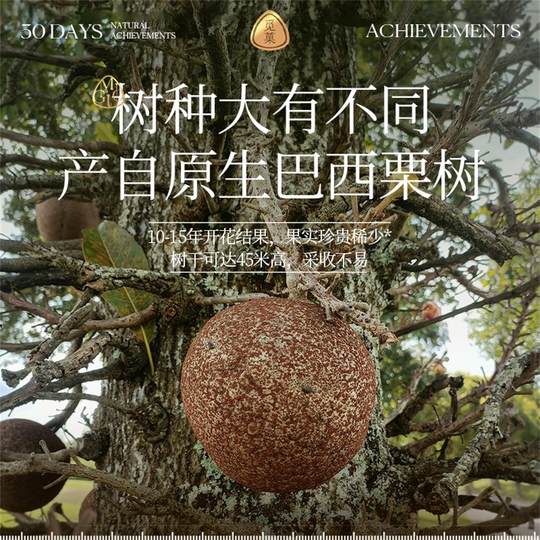 【尝鲜】觅菓巴西大鲍鱼果仁AA+70g补硒富硒大颗粒健康坚果零食