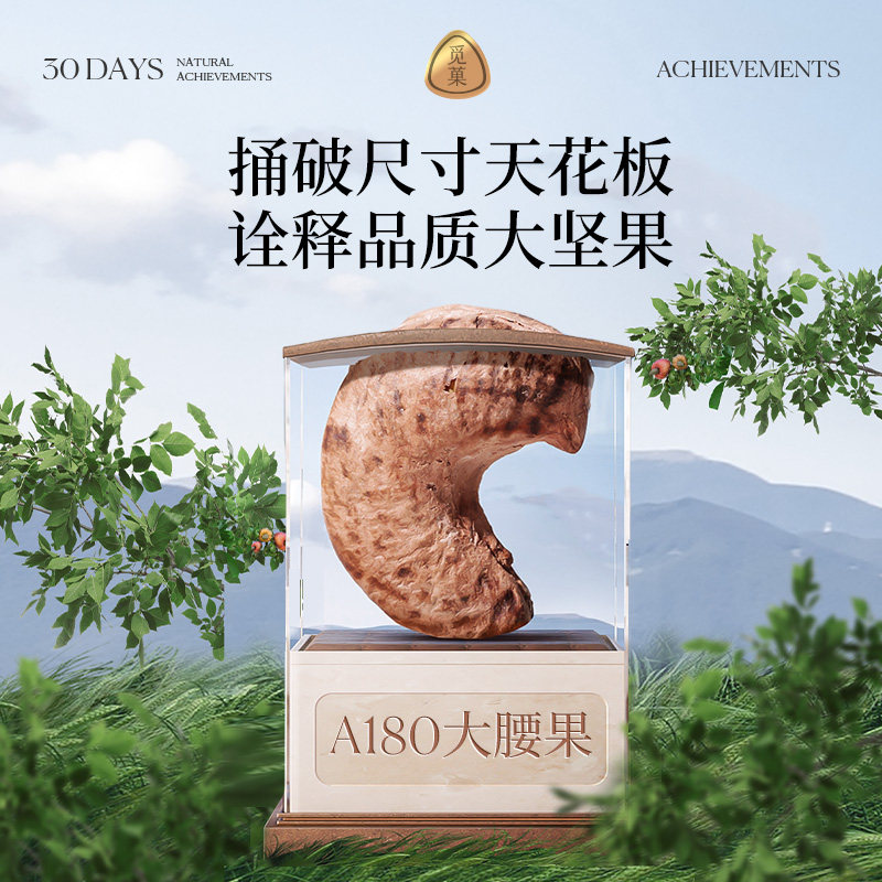 觅菓越南A180大紫衣腰果淡盐焗味营养健康坚果零食年货送礼500g,淘宝优惠券,粉丝福利购,淘宝优惠卷