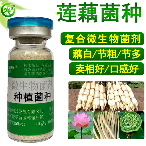 益富源莲藕菌种em莲藕宝专用有益菌藕带营养液微生物菌肥不伤鱼虾 - 图1