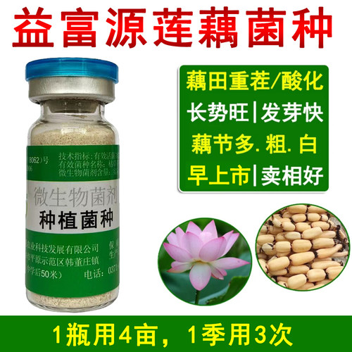 益富源莲藕菌种em莲藕宝专用有益菌藕带营养液微生物菌肥不伤鱼虾 - 图0