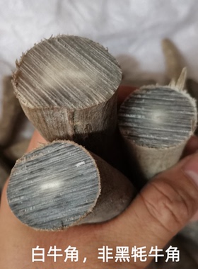 天然实心牛角原料毛料尖弹弓diy